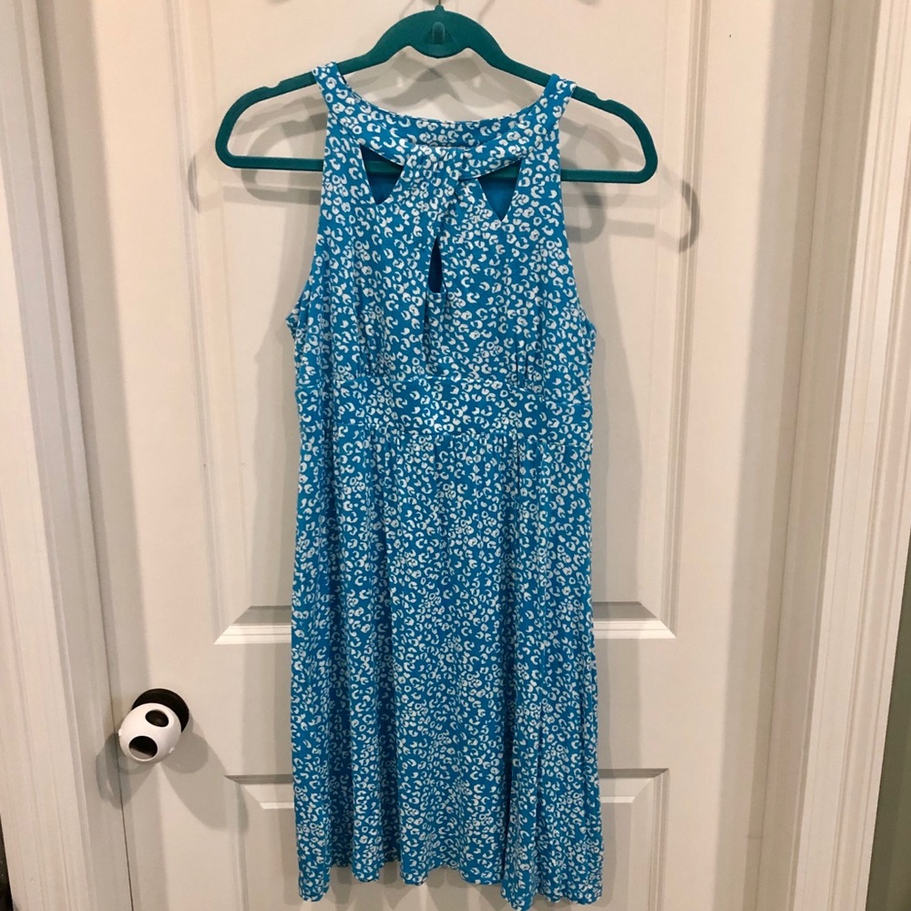 Ann Taylor Loft dress leopard blue